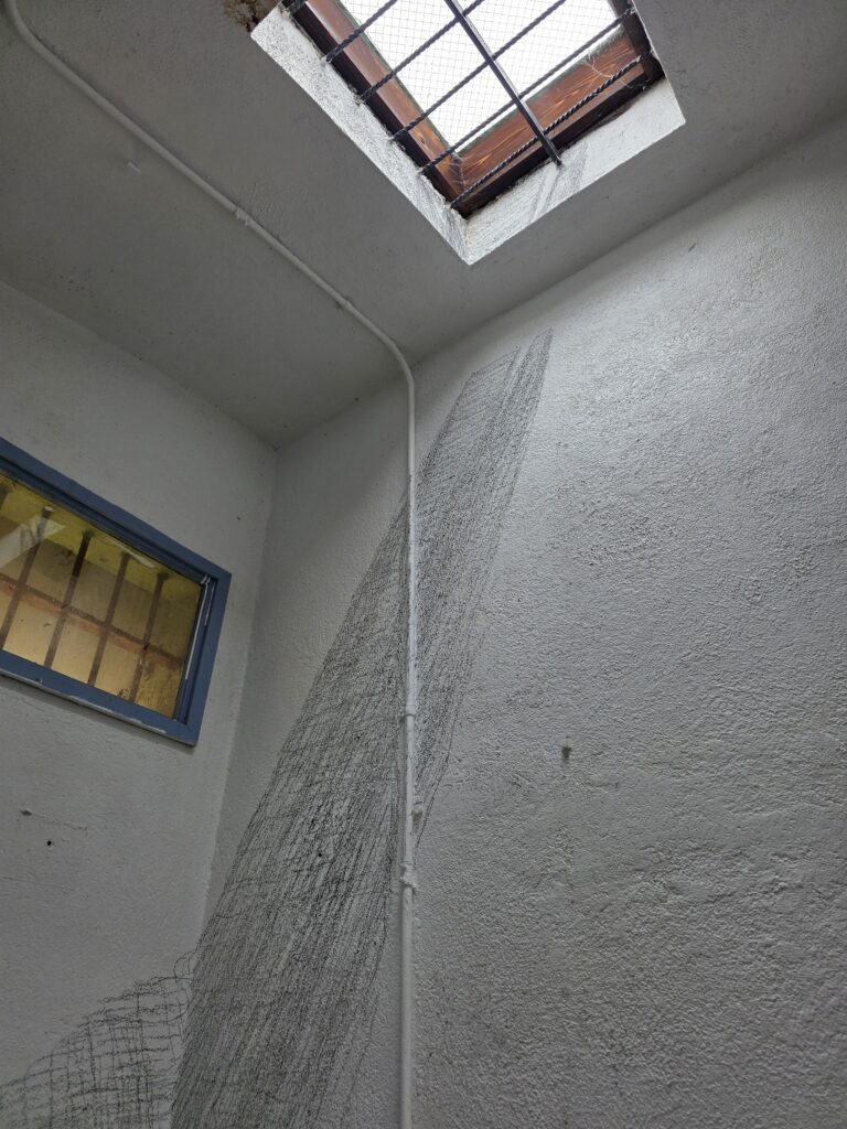 Joshua Moreno "Chasing the Light" at Davenport Jail, 2025. courtesy of Santa Cruz MAH