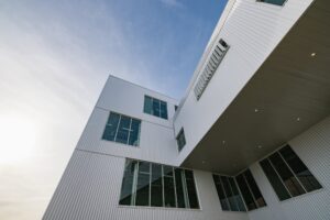 School of Art. Novo Studio