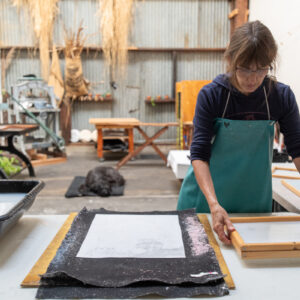 Pam DeLuco, owner of Shotwell Paper Mill, making paper. Frank Revi