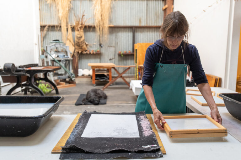 Pam DeLuco, owner of Shotwell Paper Mill, making paper. Frank Revi
