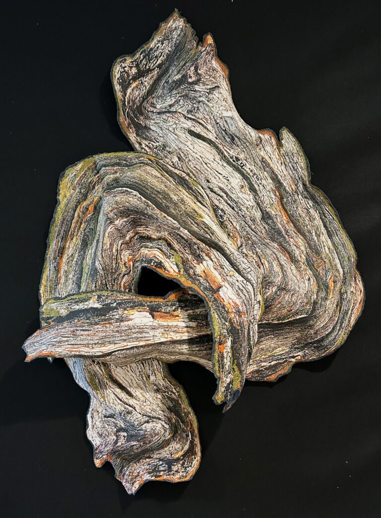 Forest Floor, Twisted Fragments var. 9. Barbara Schneider