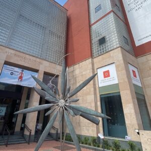 Ogden Museum of Southern Art. Jane Winslow