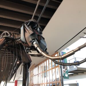 Columbian Mammoth Found Art Sculpture by Jud Turner Moses Lake Museum & Art Center