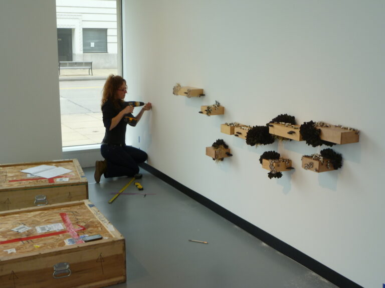Tina Rath installing her work in Out on a Limb: Contemporary Wood Jewelry, 2012 Tina Rath installing her work in Out on a Limb: Contemporary Wood Jewelry, 2012. Sue Buhler-Maki