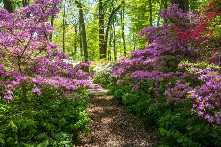 Winterthur garden Winterthur garden. courtesy of Winterthur