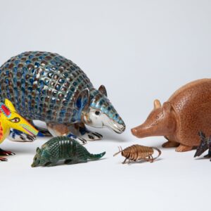 Tuck and Roll: The Art of Armadillos, On View: May 24, 2025 - Jan 11, 2026, curated by Guusje Sanders. This installation brings fun to our Entry Level cases by showcasing armadillo figures from Mingei’s permanent collection! Featuring works made by artisans across the Americas, this playful installation emphasizes how these extraordinary creatures have delighted people’s imagination. It is free to the public in the "community level" of the museum. Six armadillos in a variety of colors and materials from Mexico, Brazil, the United States of America, and El Salvador. 1999-11-004, 1993-55-132, 1993-55-172A, 1993-55-146, 1993-55-143, 1993-55-066.