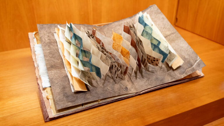 Aimee Lee, We might never know, 2023, Handmade papers, dyes, pen, ink prints of bark lace, acrylic paint, Cynthia Sears Artists' Books Collection, Photo by Hsin Shao.