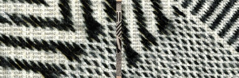 What is your name? Say it again. Claudia Huenchuleo What is your name? Say it again. Claudia Huenchuleo