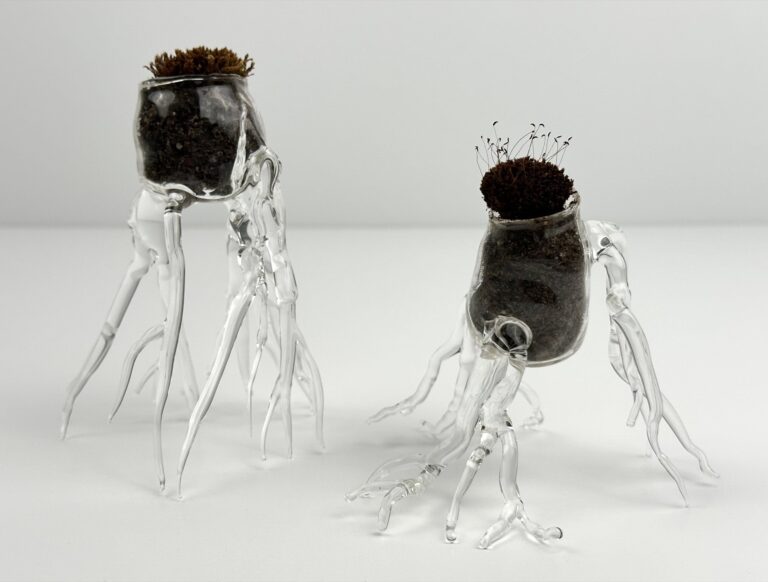 Glasswork by Stephanie Tayengco inspired by time as a resident at Bloedel Reserve on Bainbridge Island. Stephanie Tayengco (Poulsbo, WA), Regeneration (Nurse Log Vessels), 2025, borosilicate glass, potting soil, and moss, Courtesy of the Artist, photo by Dasha Moore Glasswork by Stephanie Tayengco inspired by time as a resident at Bloedel Reserve on Bainbridge Island. Stephanie Tayengco (Poulsbo, WA), Regeneration (Nurse Log Vessels), 2025, borosilicate glass, potting soil, and moss, Courtesy of the Artist, photo by Dasha Moore