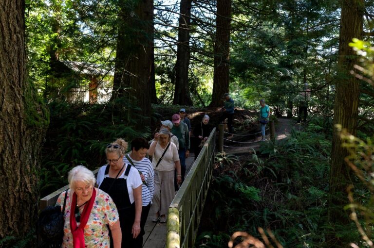 Tour the historic Pilchuck Glass School campus and take in the breathtaking views. Photo courtesy of Pilchuck Glass School Tour the historic Pilchuck Glass School campus and take in the breathtaking views. Photo courtesy of Pilchuck Glass School