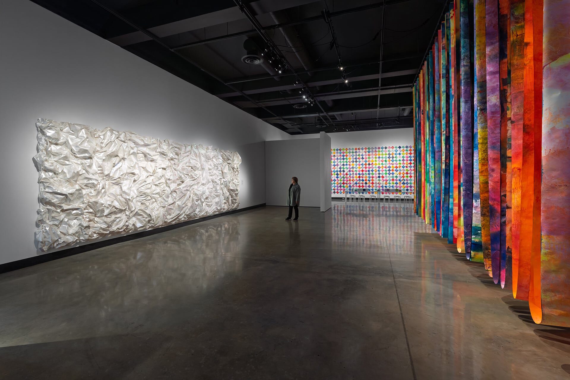 Installation view of Convergence: Health & Creativity – New Work by Anne Labovitz. Plains Art Museum, 2024-25. Photo by Bailey Bolton & Eric Muller Installation view of Convergence: Health & Creativity – New Work by Anne Labovitz. Plains Art Museum, 2024-25. Photo by Bailey Bolton & Eric Muller