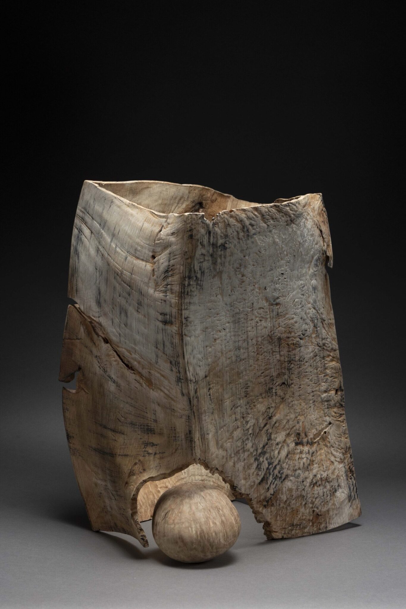 Michael Peterson (Wichita Falls, Texas, 1952 -), Arbutus, 2004, chainsawn, sandblasted, bleached, and pigmented madrone burl, 10 × 17 × 17 in., Arkansas Museum of Fine Arts Foundation Collection: Purchased with a gift from John and Robyn Horn. 2004.032.ab, Photography by Jason Masters.