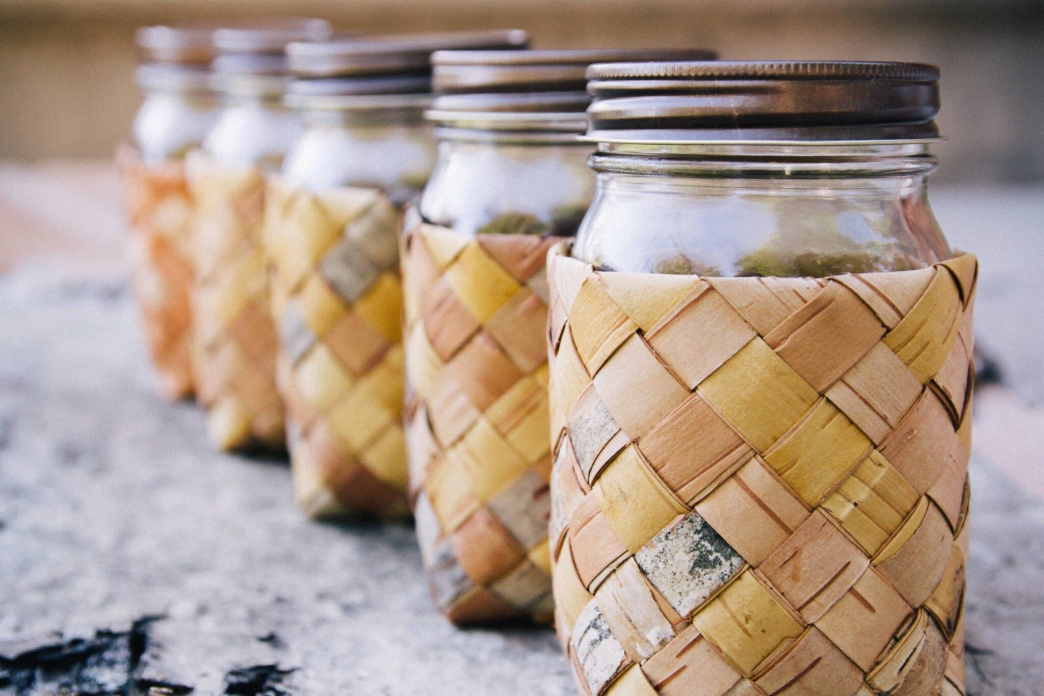 Birch Bark Cozies with Beth Kraus. American Swedish Institute