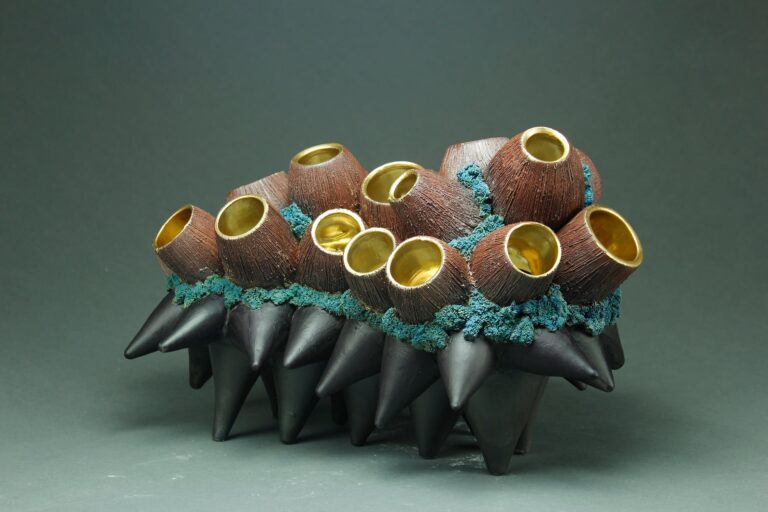 Elysia, Crispata, Anthozoa, Jess Hernandez. Jess Hernandez