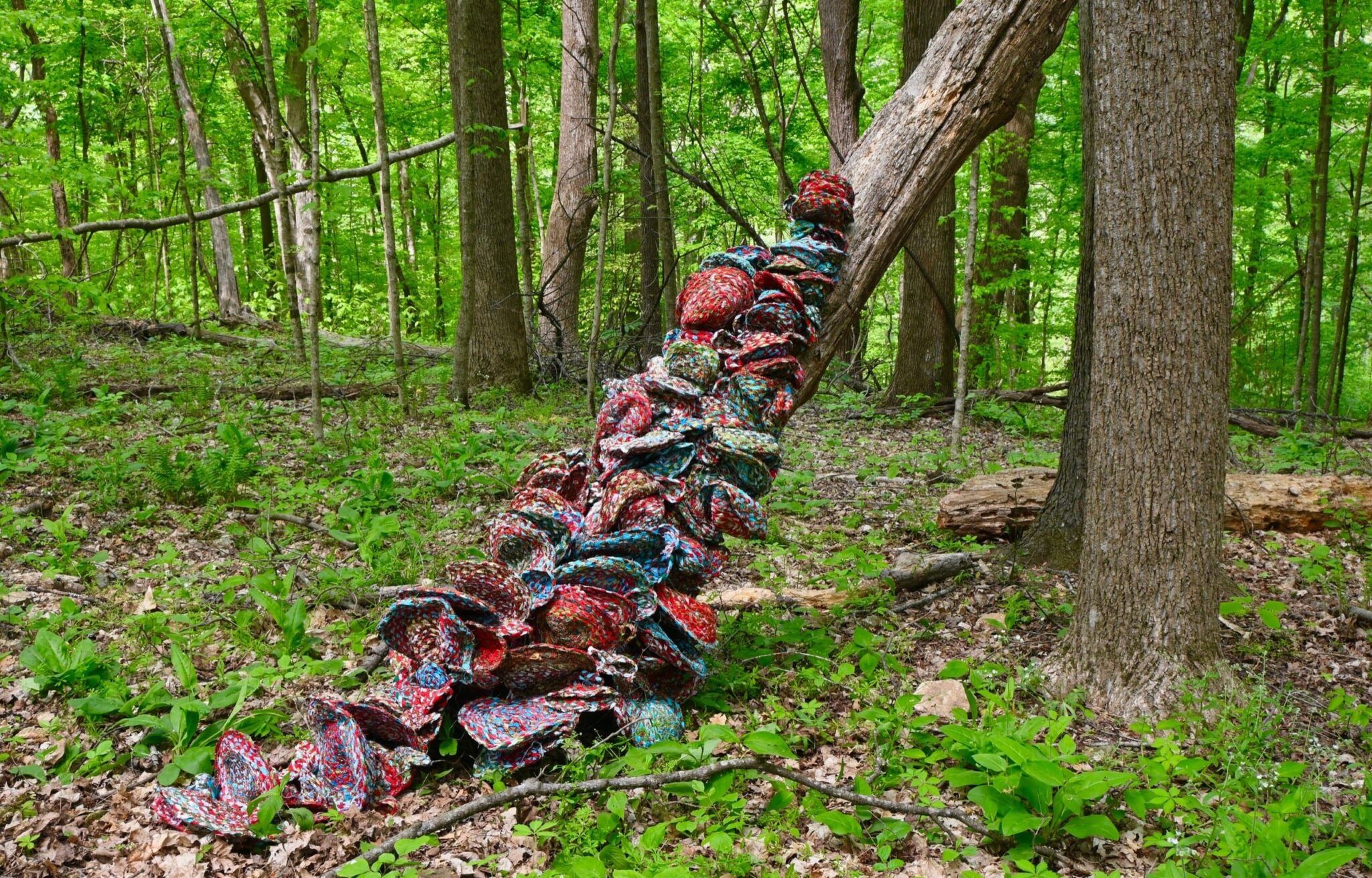Formations (secondhand fabric, thread, wire). B. Jean Larson
