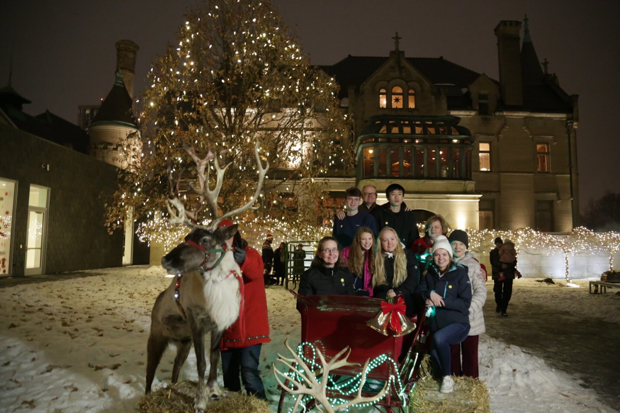 Winter Solstice Reindeer. American Swedish Institute
