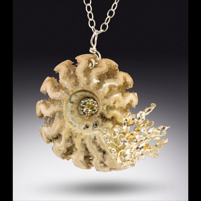 Ammonite Ammonite. A. Denise Rollings-Martin