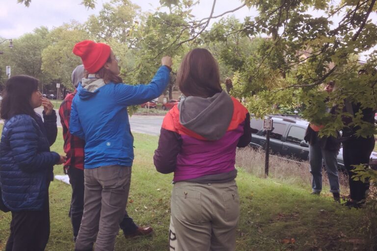 A group of people are standing outdoors, some looking up and pointing at tree branches. American Swedish Institute