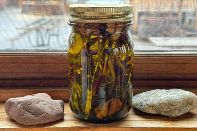 Twigs and leaves in a mason jar. American Swedish Institute