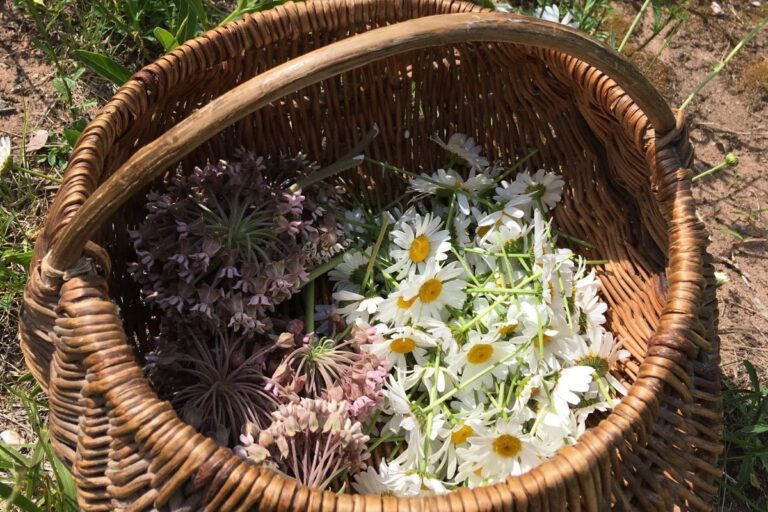 Basket containing flowers. American Swedish Institute