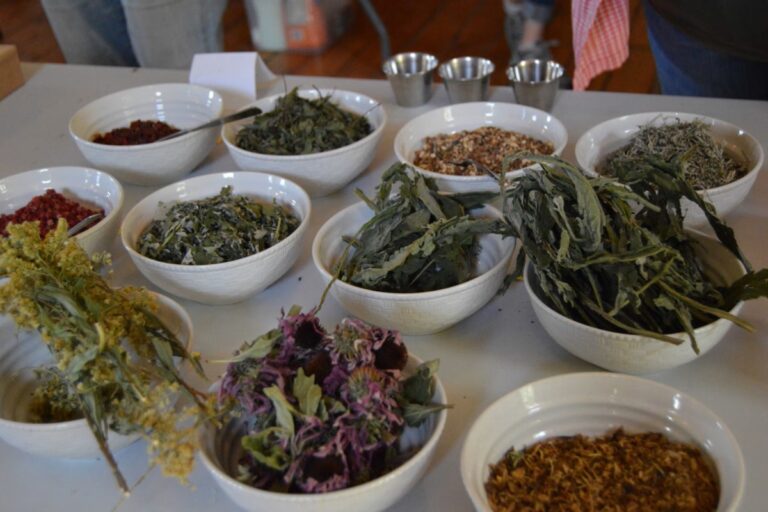 Several herbs in bowls on a table. American Swedish Institute
