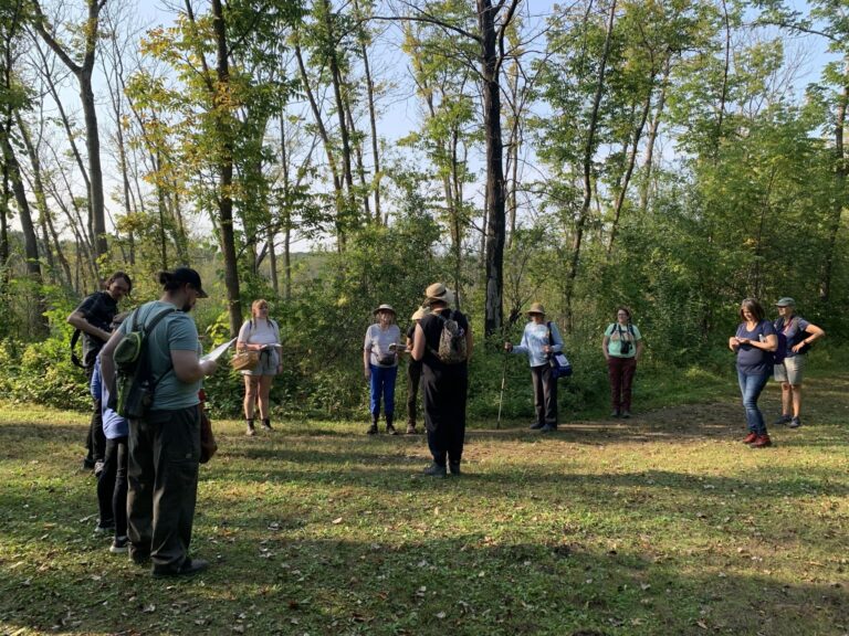 People gather in a wooded area, listening to a speaker. American Swedish Institute