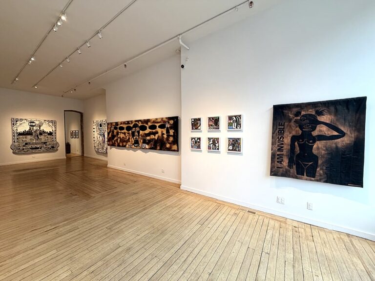 Installation photo, Certain Restrictions Do Apply, Carolyn Mazloomi and Sharon Kerry-Harlan. photo courtesy of Claire Oliver Gallery