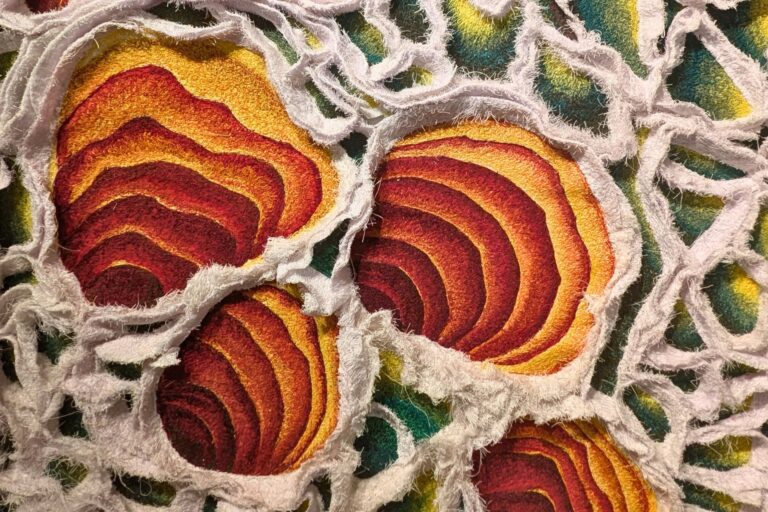 Phylum Leaf Micro Photography Cross-Section – thread painting by Bob Mosier Phylum Leaf Micro Photography Cross-Section - thread painting by Bob Mosier. The Woodlands Arts Council