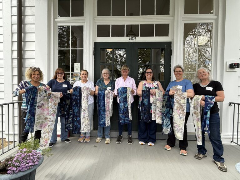 Botanical Patterns Come to Life Through Ecoprinting. S Kelly