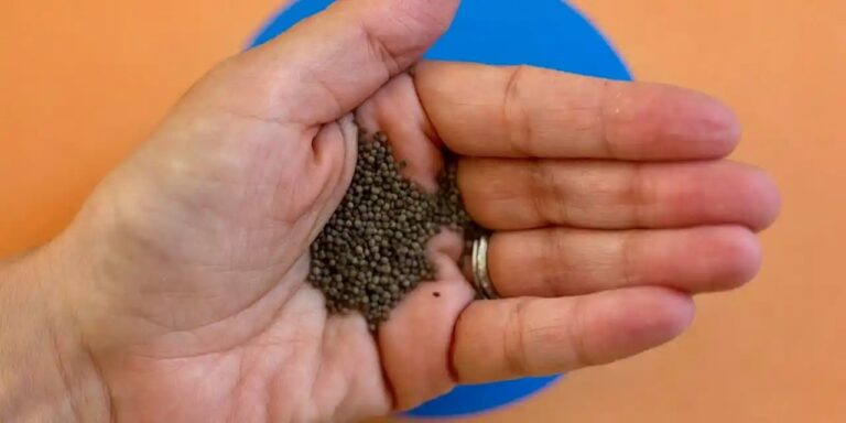 poppy-seed-soil-balls Craft Lab: California Poppy Seed Soil Balls. Craft Contemporary