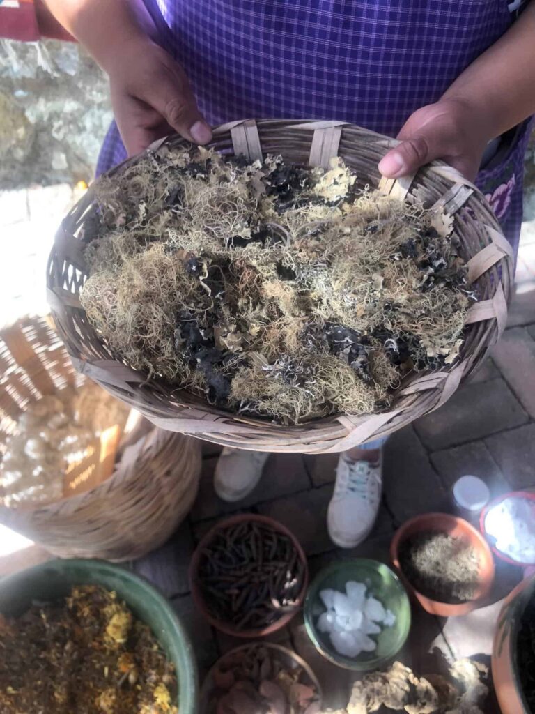 Family Workshop: Dyeing with Plants with Vero Mendoza Family Workshop: Dyeing with Plants with Vero Mendoza. Courtesy of Craft Contemporary