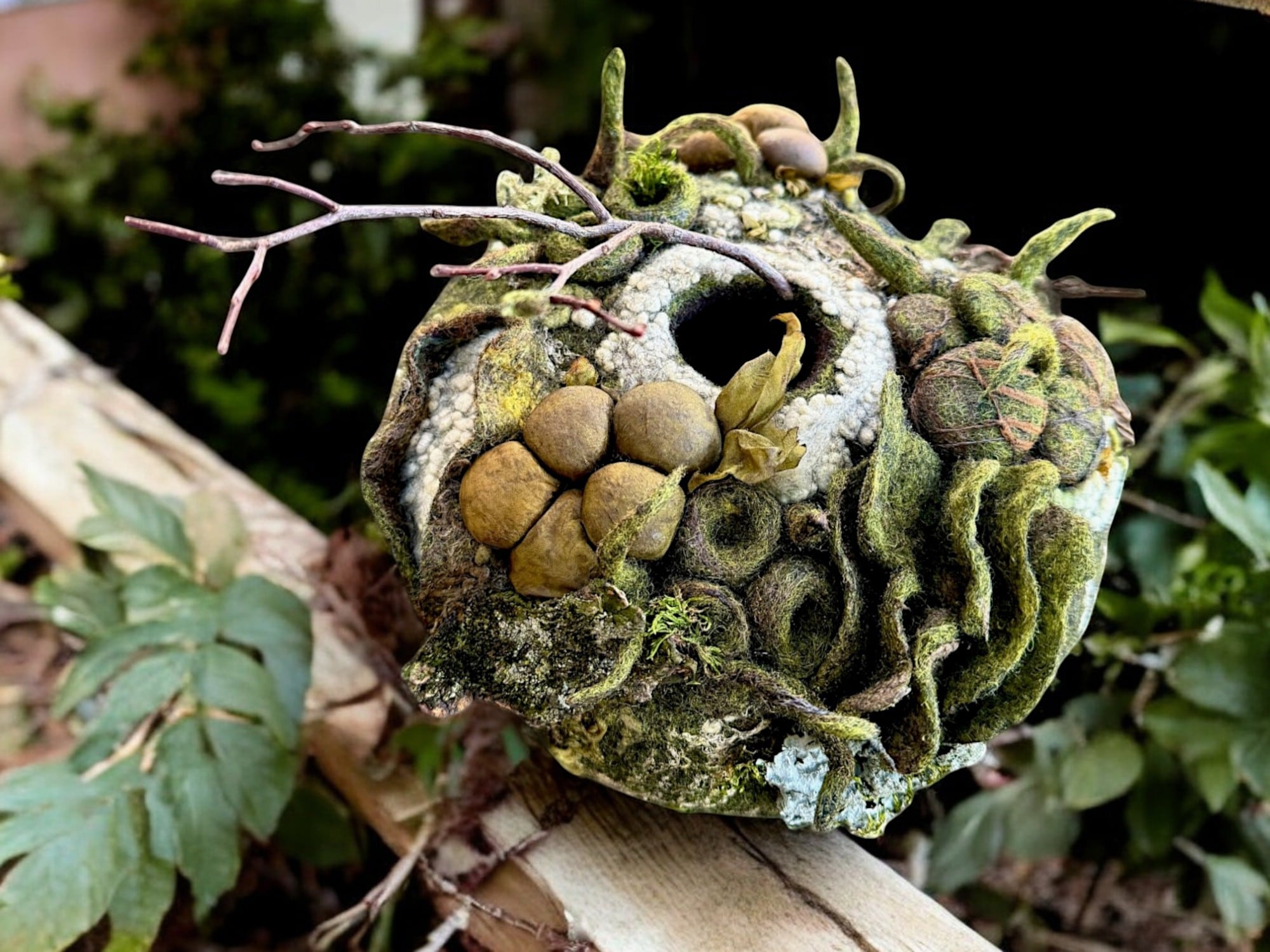 Woodland Alchemy: Felt Vessels Inspired by Nature. D. Edwards